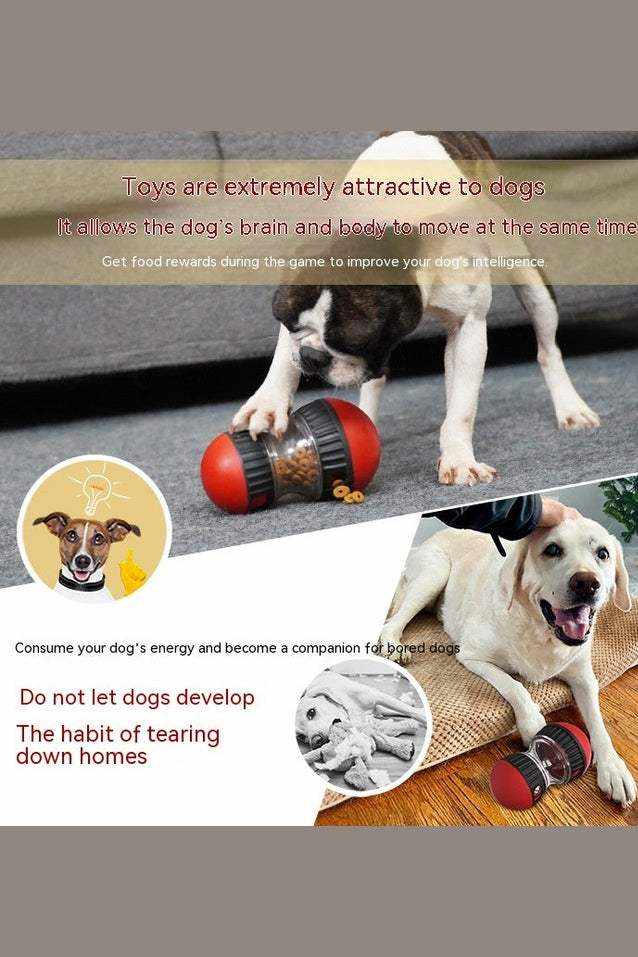 dog puzzle feeder toy