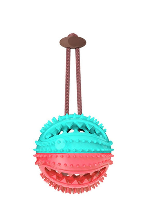 Interactive Chew Dog Toy