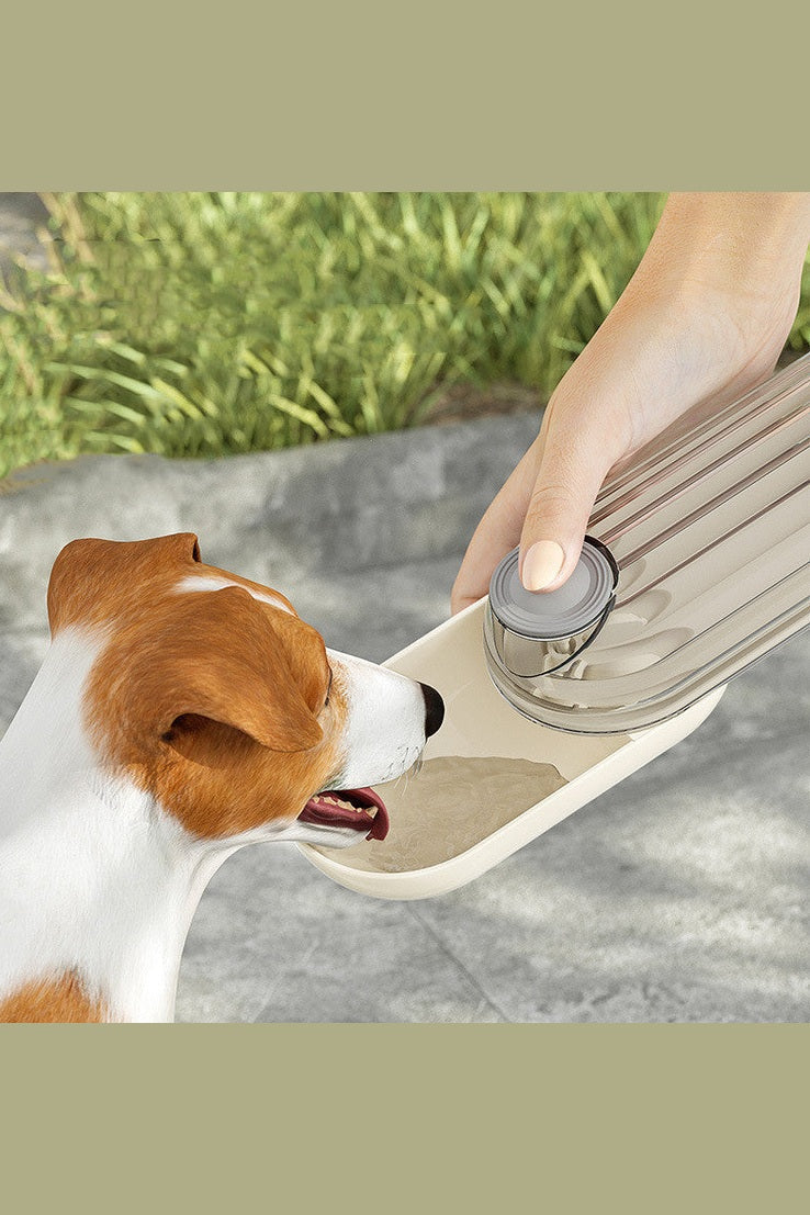 2 in 1 Pet Water Bottle