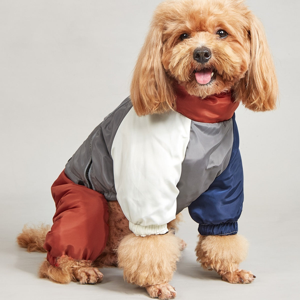 Dog Winter Coat