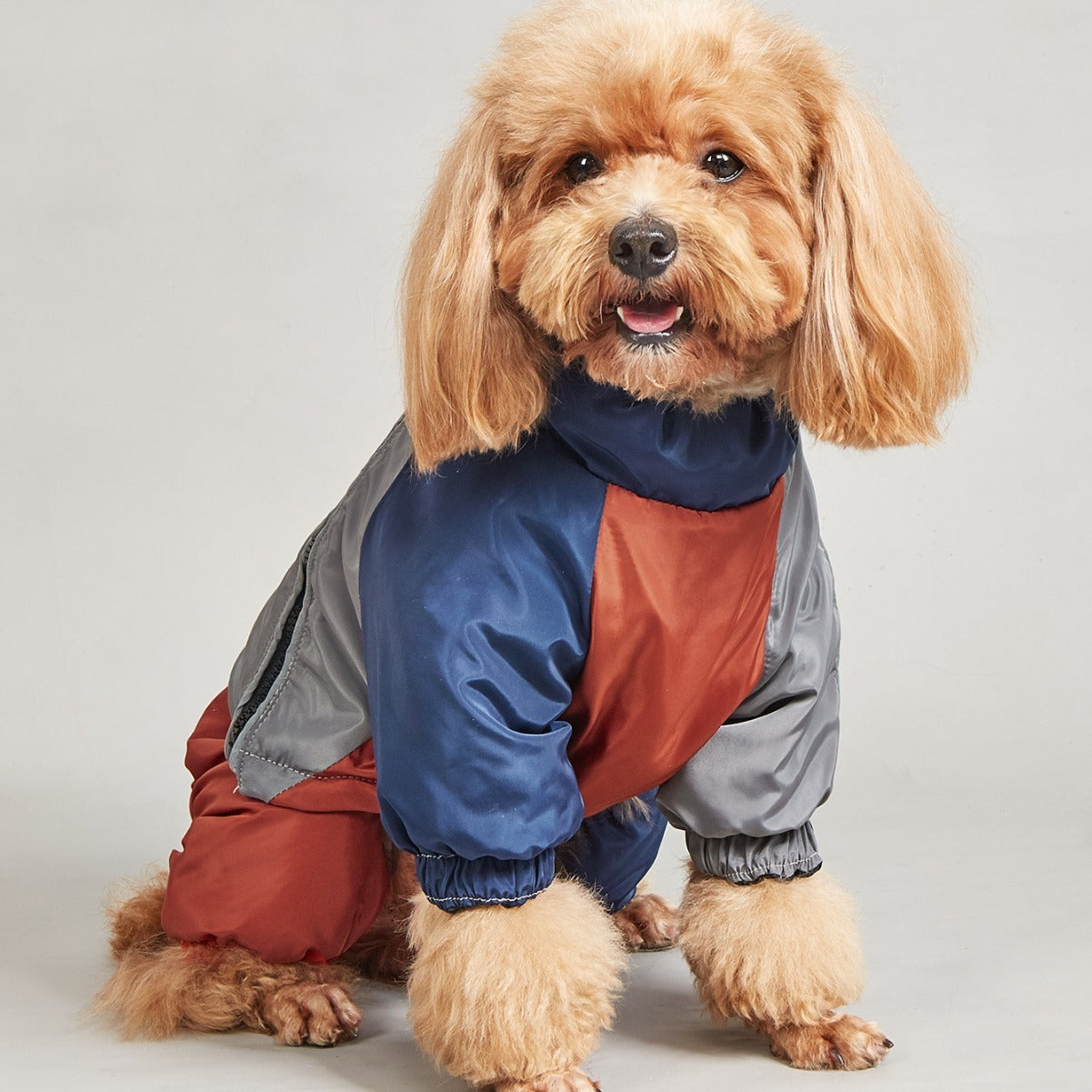 Padded Dog Jacket