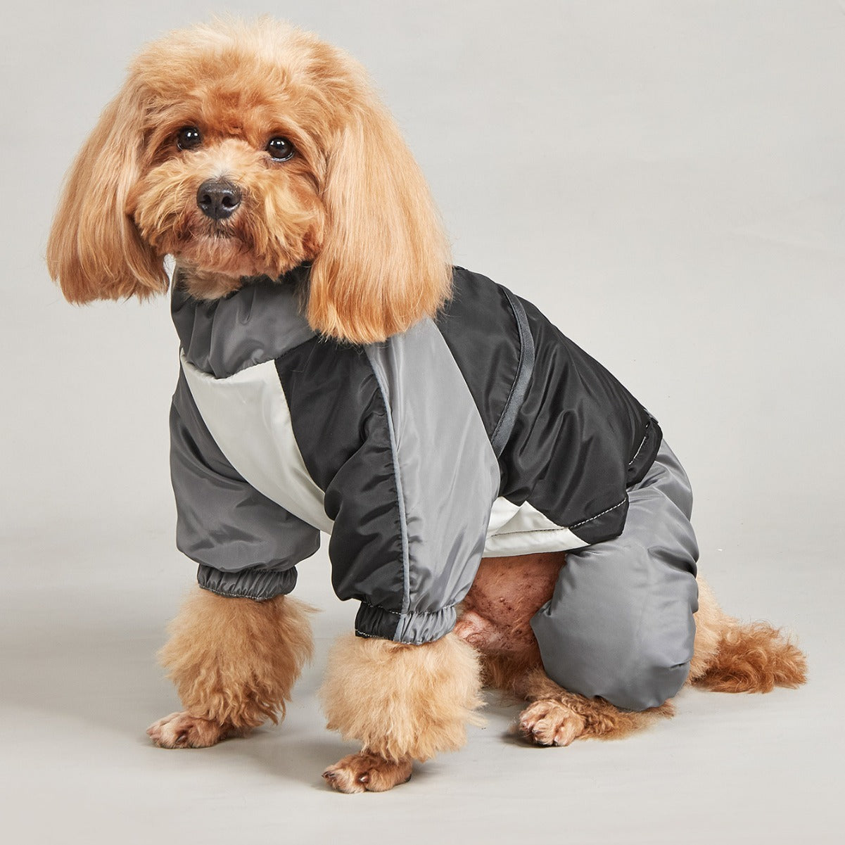  "Winter dog clothes close-up - soft cotton fabric pet jacket"