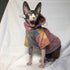 The perfect hoodie for stylish pets - dreamsforpet