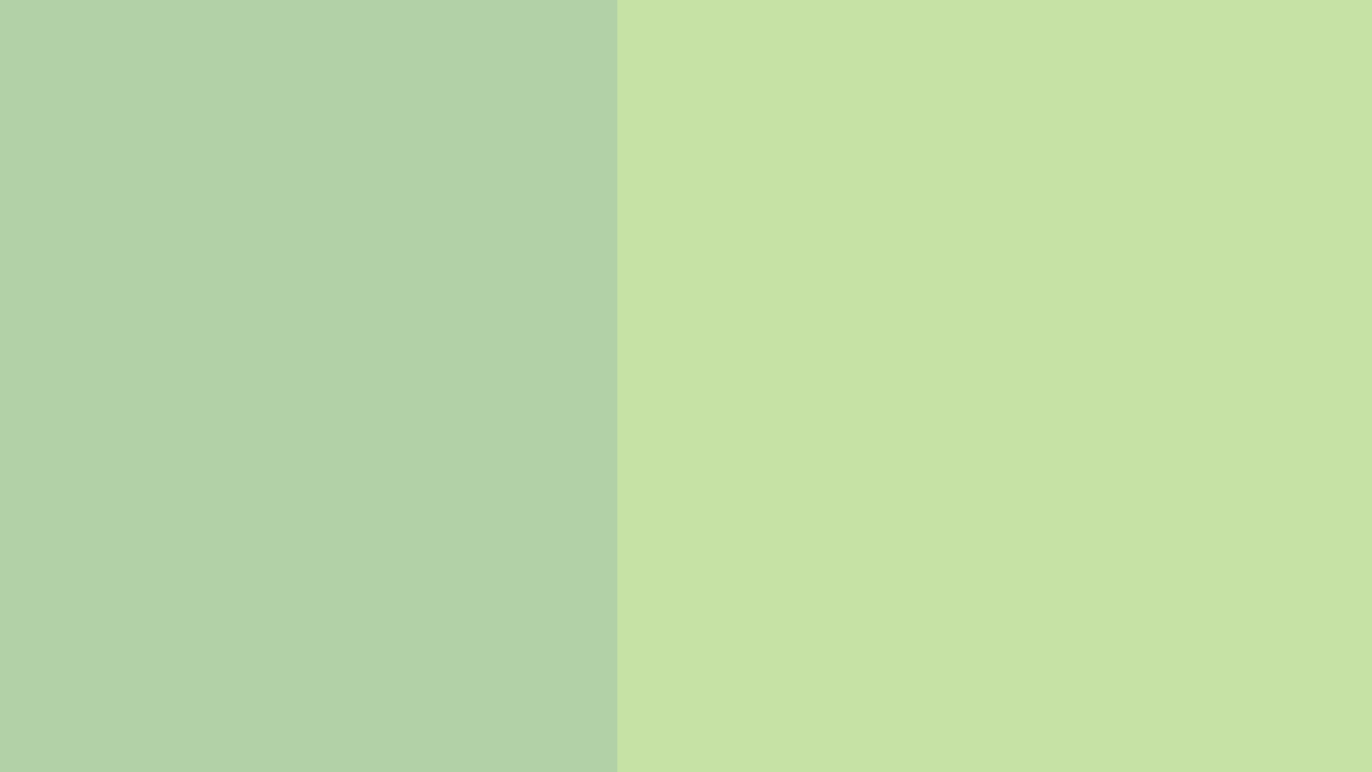image/video for product 15139418145145