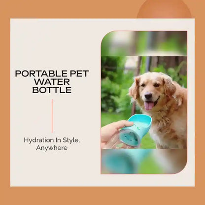 Dog Water Bottle